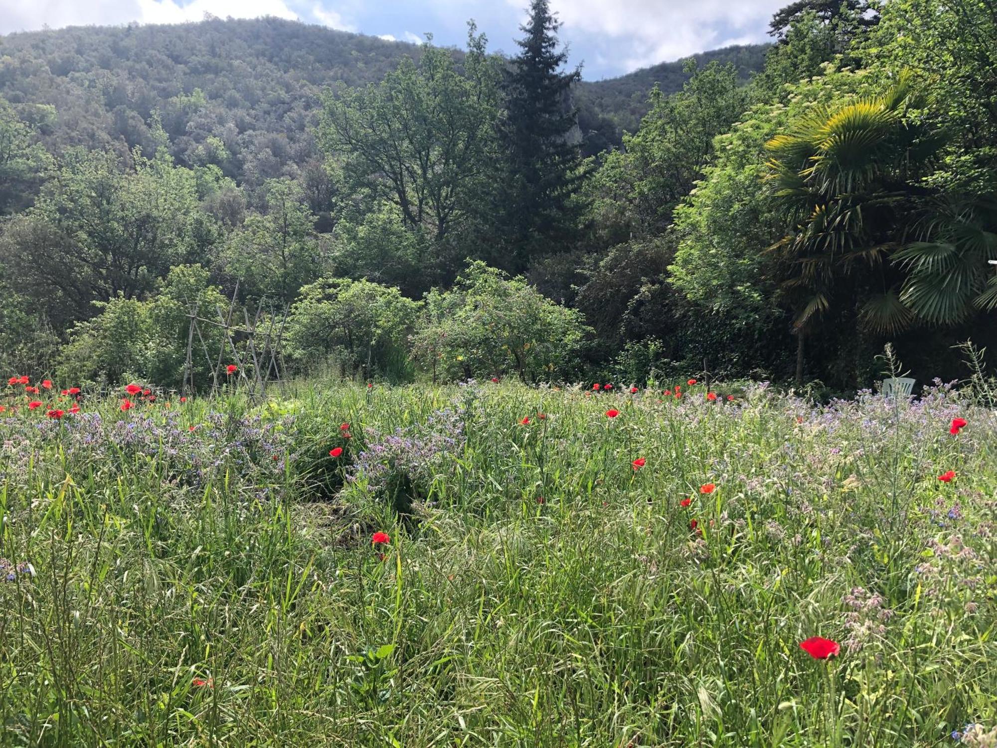 El Refugio