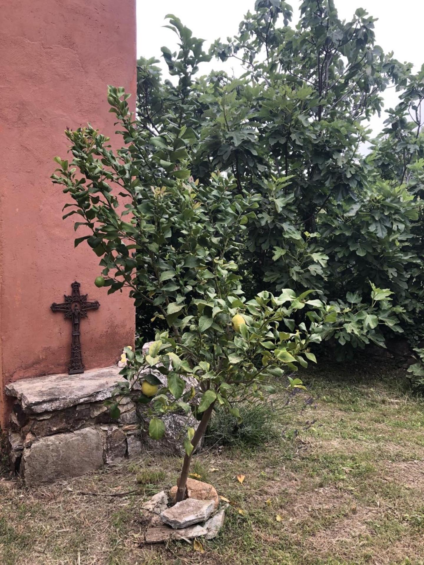 Hébergement de vacances El Refugio Reynès