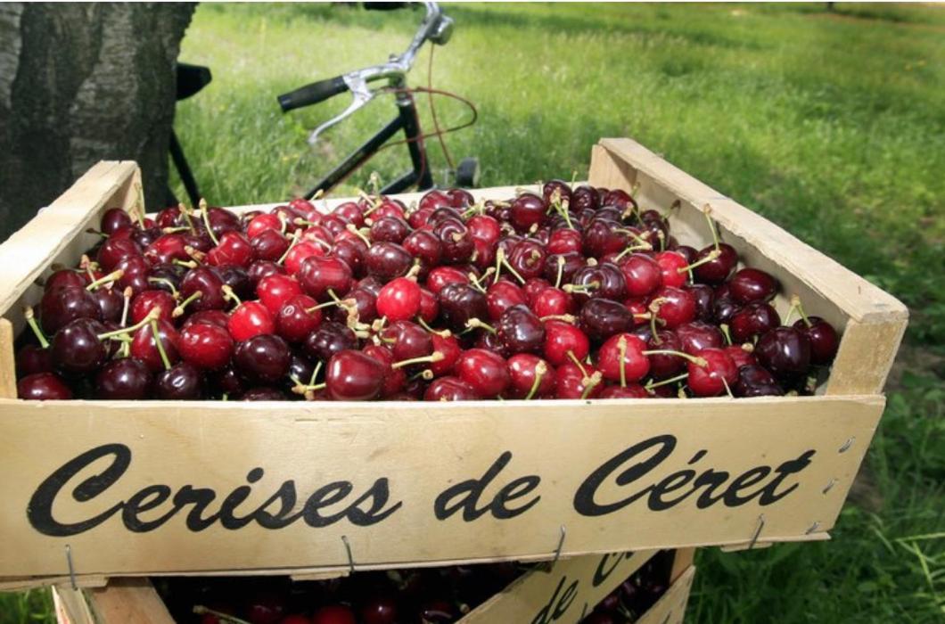 Hébergement de vacances El Refugio Reynès